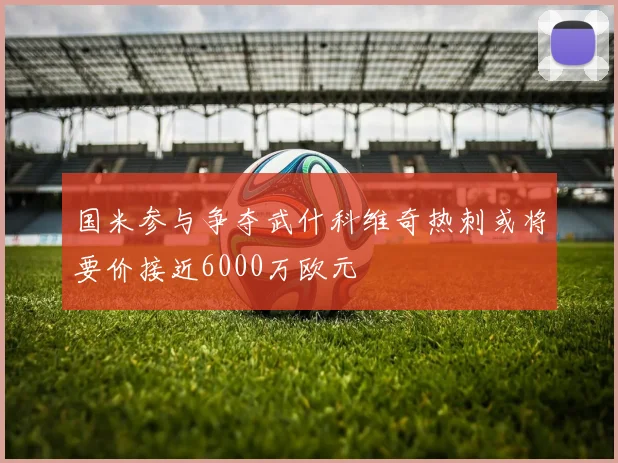 国米参与争夺武什科维奇热刺或将要价接近6000万欧元