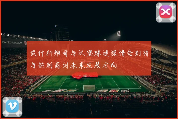 武什科维奇与汉堡球迷深情告别将与热刺商讨未来发展方向